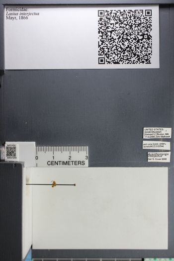 Media type: image;   Entomology 557294